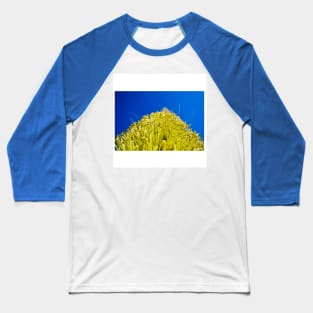 oaxaca pollen ecopop landscape photograph in mexico journey Baseball T-Shirt